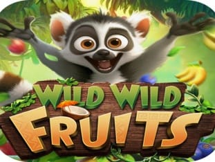 Wild Wild Fruits game cover