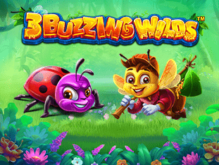 3 Buzzing Wilds game cover