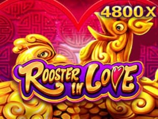 Rooster In Love game cover