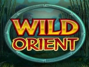 Wild Orient game cover