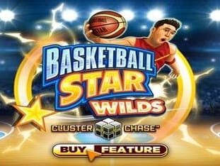 Basketball Star Wilds game cover