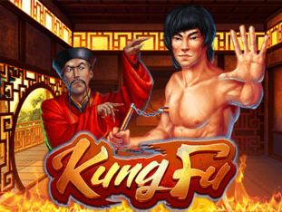 Kungfu game cover